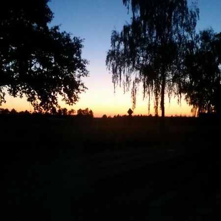 Entspannen & Wohlfuehlen In Der Lueneburger Heide Vierhofen Buitenkant foto