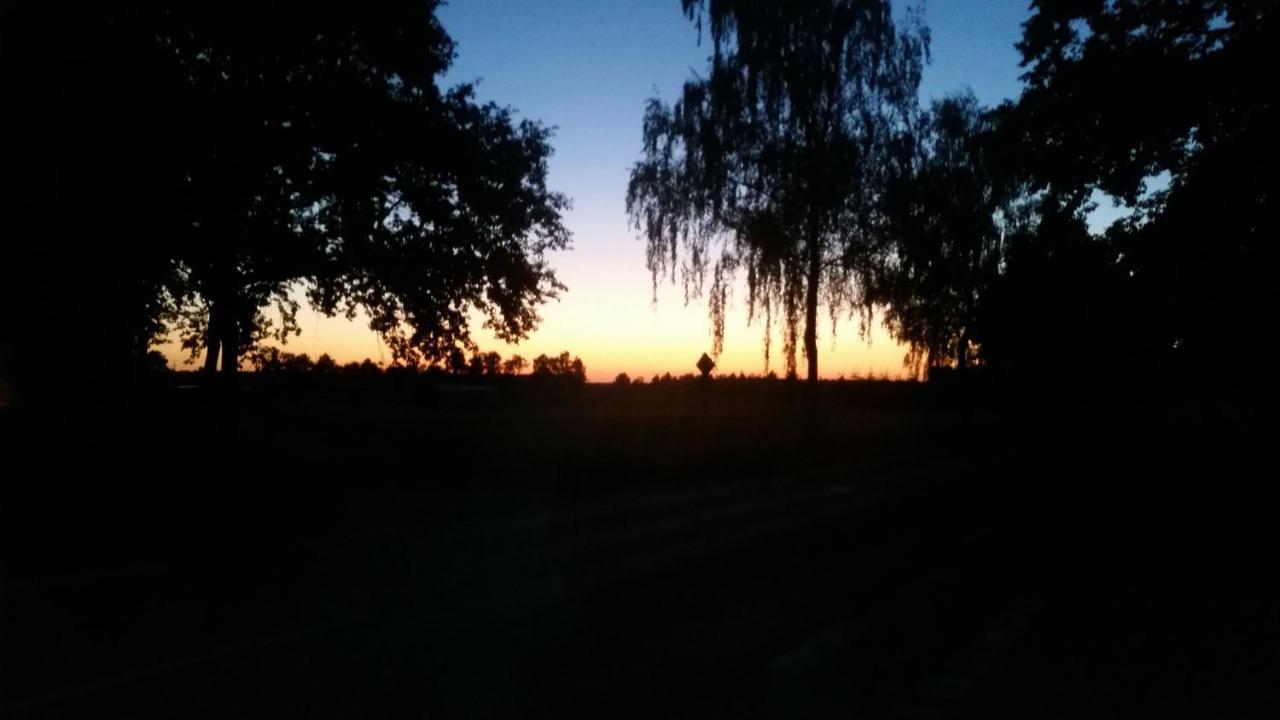 Entspannen & Wohlfuehlen In Der Lueneburger Heide Vierhofen Buitenkant foto